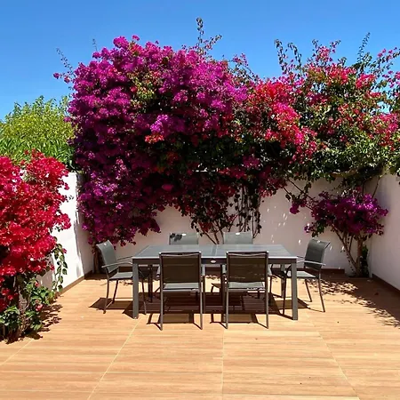 Galo By Check-in Portugal Vila *