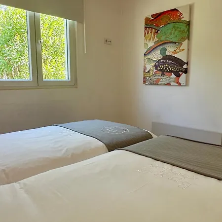 Galo By Check-in Portugal