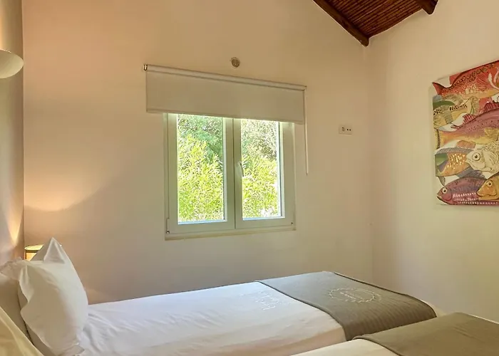 Galo By Check-in Portugal 빌라 알부페이라